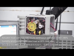 Kiểm tra loại Bộ truyền động điện DCL